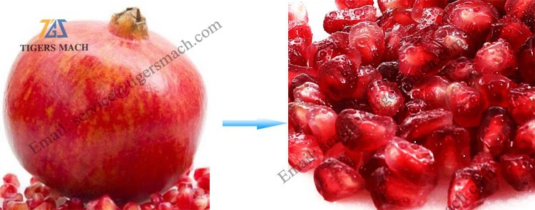 product-750-295