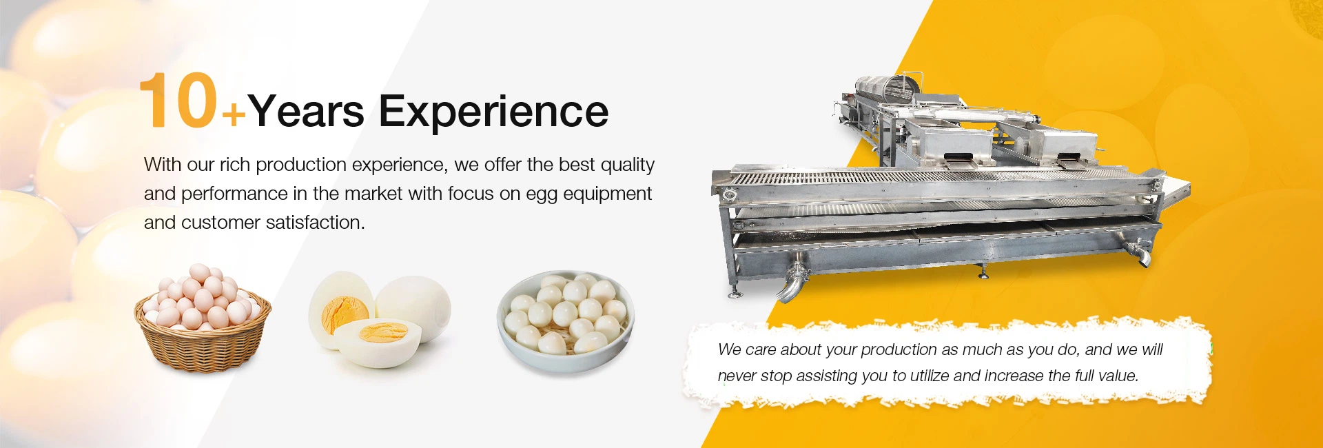 Egg Process Machine