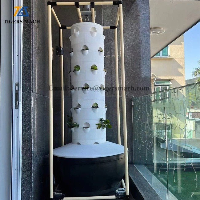 Hydroponics Vegetable Cultivate System (3)