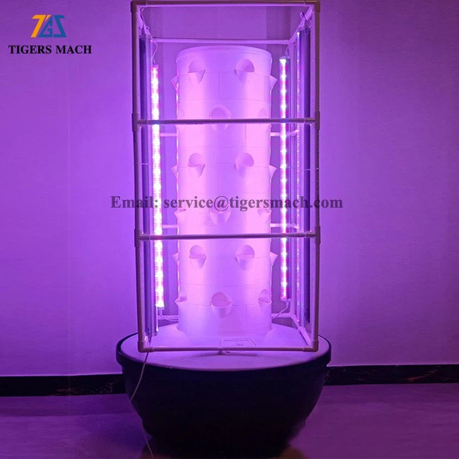 Hydroponics Vegetable Cultivate System (4)