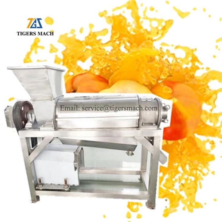 Fruit Juice Extracting Machine