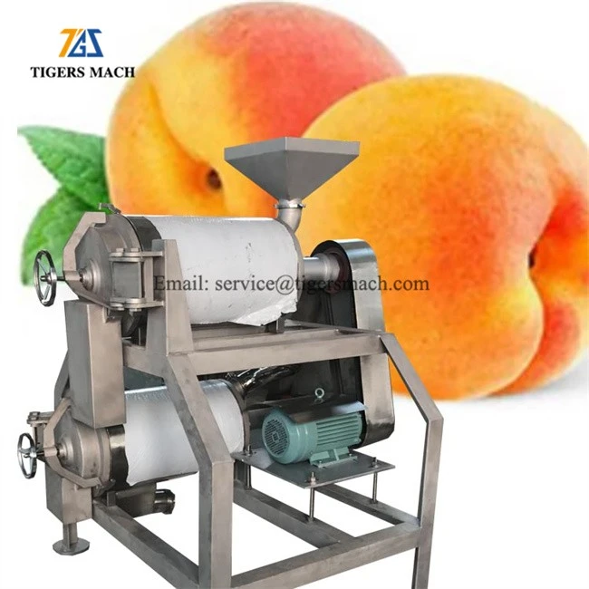 Fruit Pulping Machine equipment